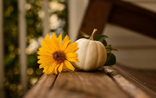 Pumpkin Pie In A Cup Quick Review