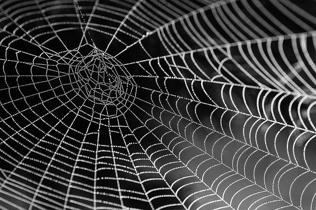 How To Draw A Spider Web Here Are Easy Ways
