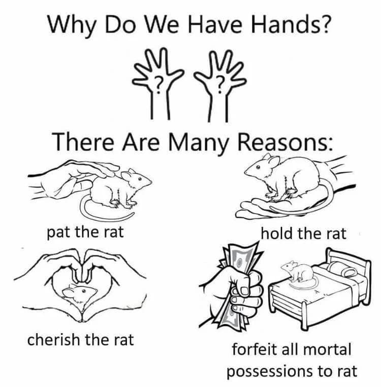 Why Do We Have Hands See Answer