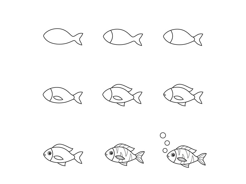 How To Draw A Fish In An Easy Step-by-step Guide