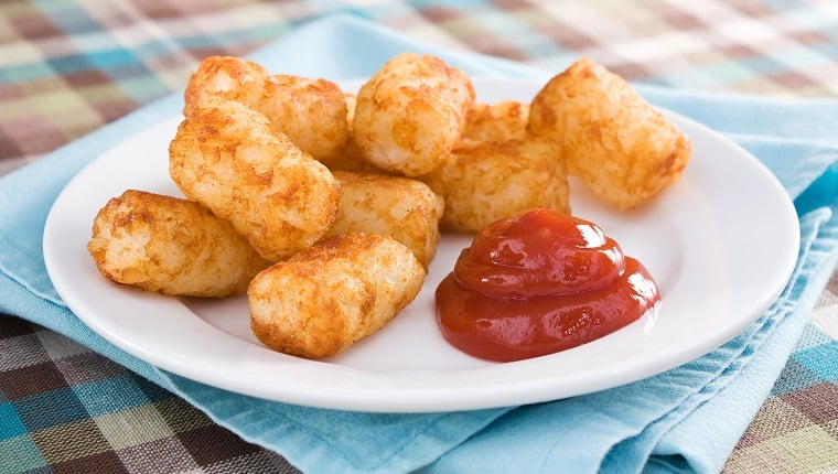 Can Dogs Eat Tater Tots All You Want To Know